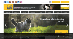 Desktop Screenshot of eastsurrey.cats.org.uk