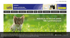 Desktop Screenshot of northampton.cats.org.uk