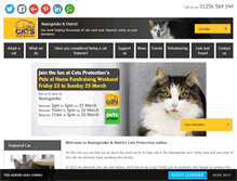 Tablet Screenshot of basingstoke.cats.org.uk