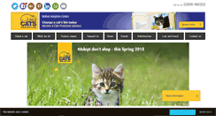 Desktop Screenshot of belfast.cats.org.uk
