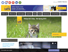 Tablet Screenshot of belfast.cats.org.uk
