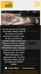 Mobile Screenshot of kirkintilloch.cats.org.uk