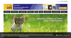 Desktop Screenshot of derbydistrict.cats.org.uk